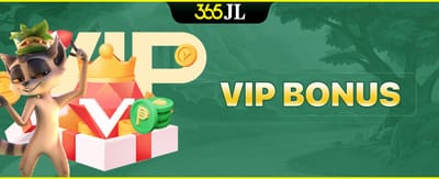 VIP Exclusive Bonus promotion